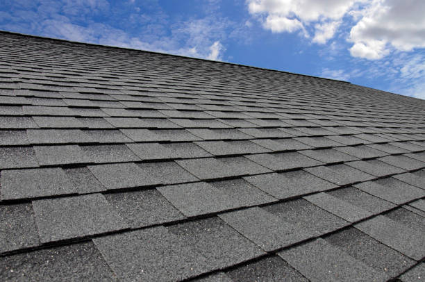 Best Roof Maintenance and Cleaning  in Oolitic, IN